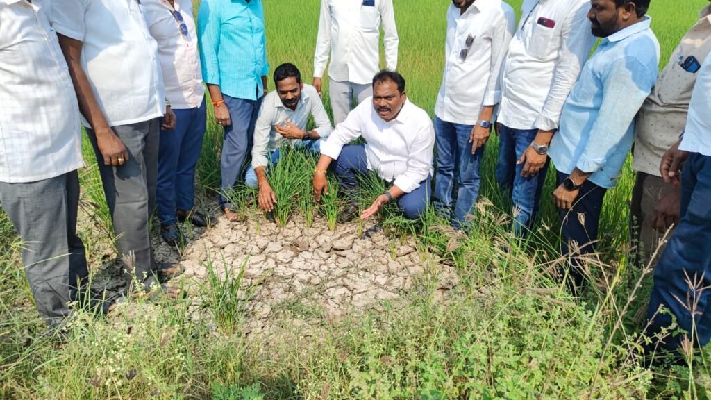 కాంగ్రెస్ అంటేనే కరువు. పంటలు ఎండిపోతున్న పట్టించుకునే నాధుడే లేడు _ మాజీ ఎమ్మెల్యే సుంకే రవిశంకర్