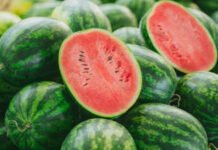 మండు వేసవిలో అంది వచ్చిన అతిథి కర్బూజా