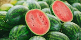 మండు వేసవిలో అంది వచ్చిన అతిథి కర్బూజా